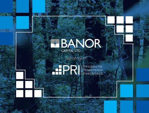 PRI - INVESTIMENTO RESPONSABILE